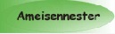 Ameisennester